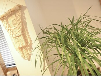 アイラッシュアンドネイル専門店 クラル 茅ヶ崎店(CURAR)/店内写真