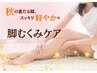 脚のむくみ・ダルさを解消♪【脚むくみケア】 30分¥4,400