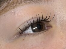 アポロランド ルーナ/フラットラッシュ