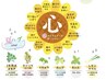 夏限定ハーブ使用｜季節の養生よもぎ蒸し（40分）6,600円→