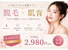 アネル 新都心店(anel)