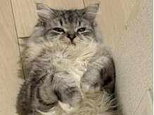 アート持ち込みコース／ドリンク、お菓子ご用意してます！