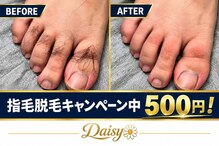 デイジー(Daisy)