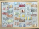 30種定額ラインナップ