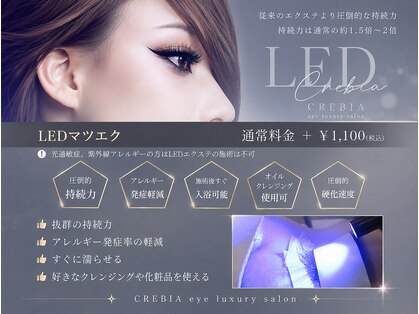 クレビア(CREBIA)の写真