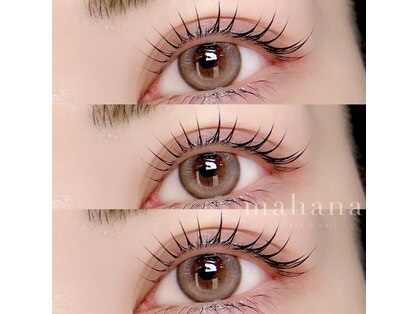 マハナ(mahana)の写真