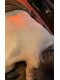 ハリアージュ(Hariage)の写真/【磐田旧国沿いにOPEN】鍼は初めてという方にも◎貸切個室で国家資格保持者の優しく丁寧な本格美容鍼灸を