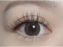 アウラ(aulla)/ダブルフラットブラウン120束