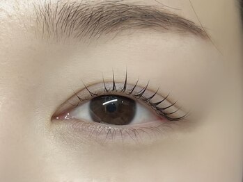 ハーフバックス 堀之内店/ラッシュリフト