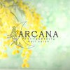 アルカナ(ARCANA)のお店ロゴ