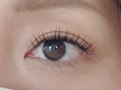 ラスター(Luster)の写真