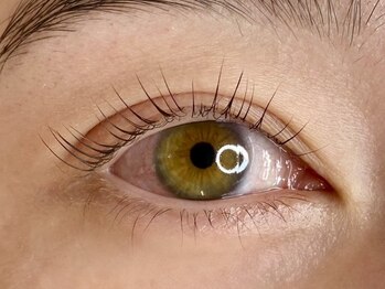 ユートゥイーズ 鎌倉(U too e's)/まつげパーマ/マツパ【MANAE】