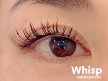 ウィスプ(WHISP)/フラットマットラッシュ140本