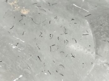 だんごバレエ団202/その場で抜けるポップアップ現象