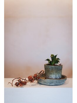 ナンバーニイチニハチ(No.2128)/店内インテリア