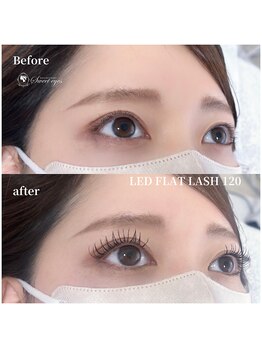 スウィートアイズ(Sweet eyes)/LEDフラットラッシュ120本