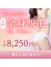 【レディース/期間限定】ツルすべ肌へ★全身脱毛★(顔、VIOなし)　¥8250