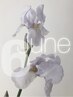 【 option care 】＋ アイシャンプー ¥550→¥500