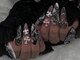 アビス(Abyss)の写真/1級ネイリスト在籍◆拘りアートで"魅せる"指先を叶えます*ガーリー/ゴテゴテ/y2k/ダークなdesignは当店へ