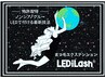 NEW【特許】LEDノンシアノグルー（高敏感肌）3Dボリューム100束初回¥7,530