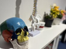 未来工房 整体院 要/腰痛/しびれ/頭痛/肩こり/膝痛