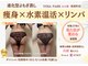 ヨサパーク セルヴィ(YOSA PARK セル美)の写真
