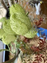 わたなべ整体院/