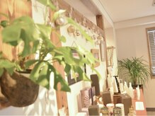 アイラッシュアンドネイル専門店 クラル 茅ヶ崎店(CURAR)/店内写真