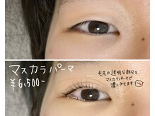 プルームミコ(Plume mico)/韓国で人気！ マスカラパーマ