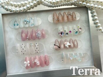 ネイルアンドまつげエクステ テラ 銀座店(Terra)/Premium定額