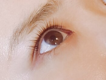 オレンジスター バイ パッセージ(ORANGE STAR BY PASSAGE)/まつげカール[相模大野]