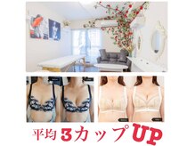 シークレット(Secret)