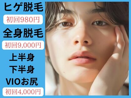 トミー(TOMMY)の写真