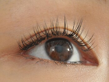 ルミア(Lumia)/上まつ毛エクステ　デザイン
