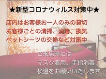ハーゼ(Hase)/★新型コロナウィルス対策中★