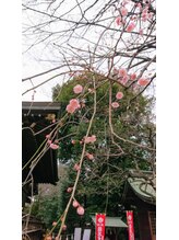 ミチ(Michi)/次は桜ですね♪