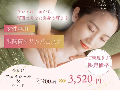 トロイカの写真