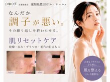 ル シーニュ