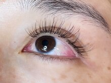 ウルカ アイラッシュ(uruka EYELASH)/フラットラッシュブラウン 120本