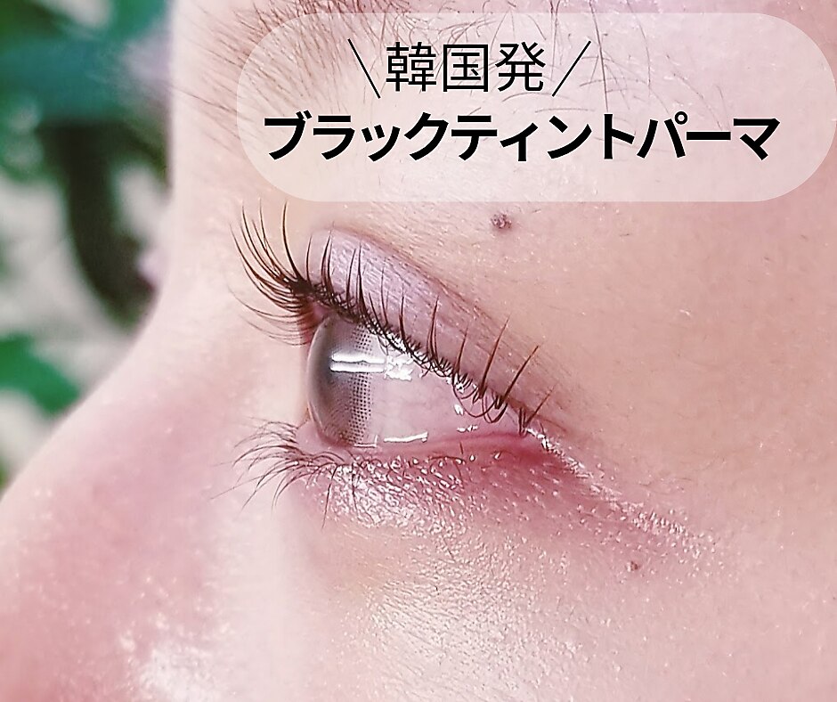 【黒々しさUP】トリプルケア◎ラッシュリフト+ブラックティント