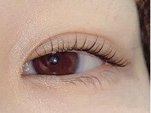 プラスアイ 銀座中央通り店/まつ毛パーマ　担当：國井