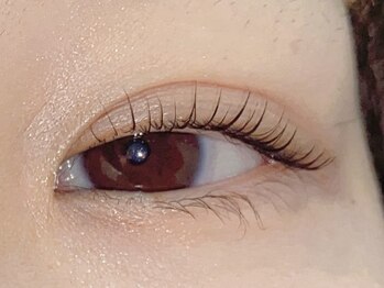 プラスアイ 銀座中央通り店/まつ毛パーマ 担当:國井