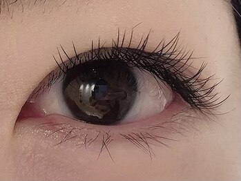 カラン 焼津店(CALIN)/フラットラッシュ100本