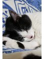 エステティック らぽーる(Rapport) ネコ派です!我が家の愛猫