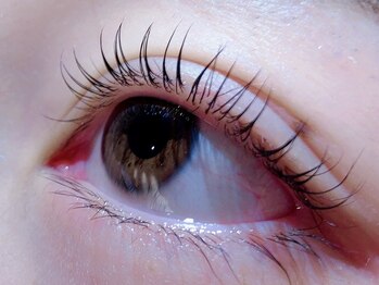 カラン 焼津店(CALIN)/ラスティングカール