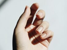 ゼロハチイチ(081)