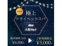 ミント(Mint)