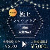 ミント(Mint)