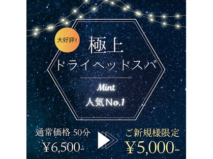 ミント(Mint)の写真