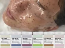 サロン ド アリーナ(Salon de Alina)/ハイドロジェリーマスク